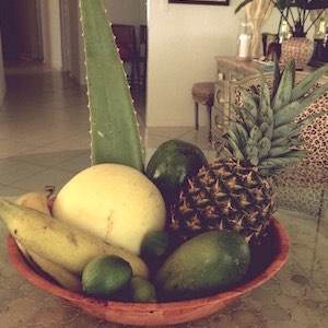 Obstschale Ananas Aloe